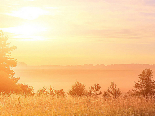 Adaptation au changement climatique