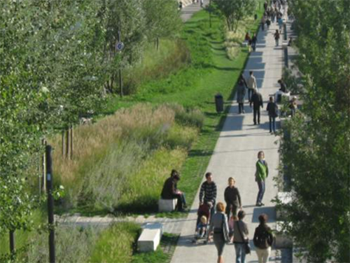 Adapter la voirie urbaine au changement climatique