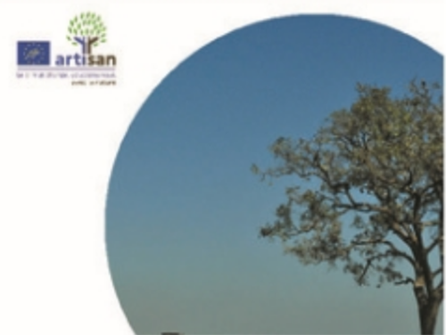 S'adapter au changement climatique dans les filières agricoles avec les Solutions d'adaptation fondées sur la Nature (SafN)