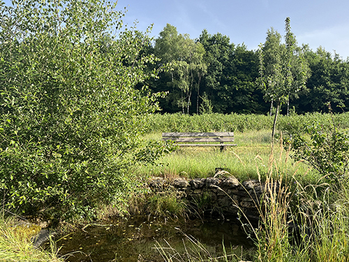 Étude sur les financements : quels leviers mobilisables pour la mise en œuvre des solutions fondées sur la nature pour l'adaptation au changement climatique ? Étude sur les financements : quels leviers mobilisables pour la mise en œuvre des solutions fondées sur la nature pour l'adaptation au changement climatique ?