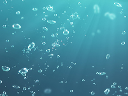 Avis du conseil scientifique du comité de bassin Seine-Normandie sur la sobriété en eau