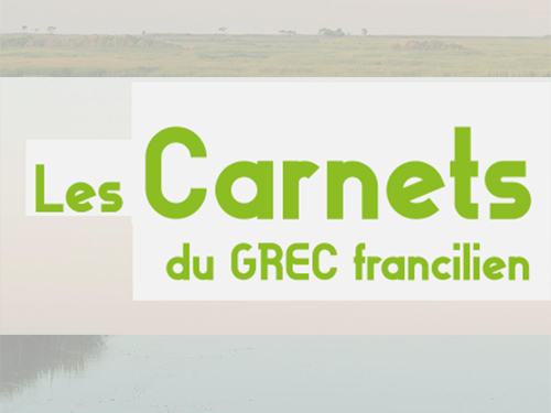 La biodiversité : dynamiques et enjeux