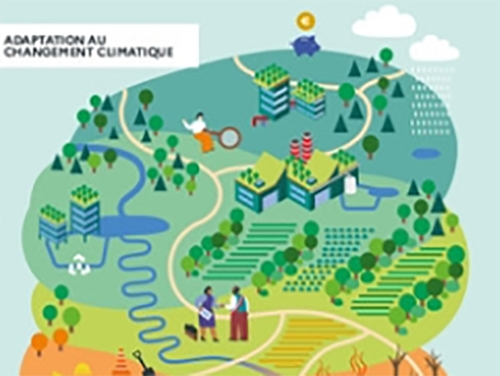 En entreprise, comment s'engager dans un parcours d'adaptation au changement climatique ?