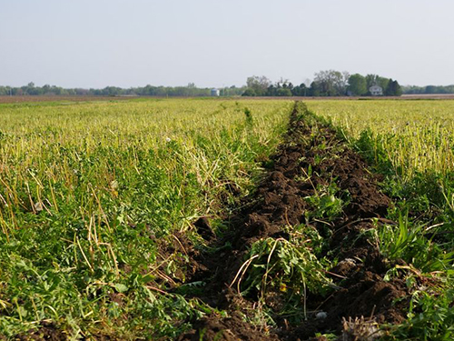 Les entretiens du GREC francilien