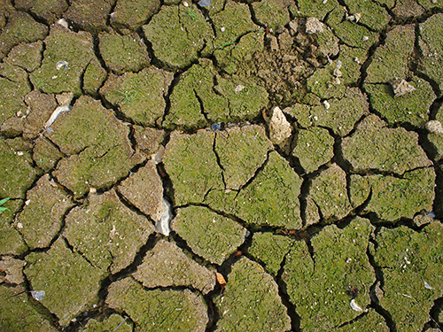 Adaptation au changement climatique: accompagner les territoires pour traduire les enjeux en actions