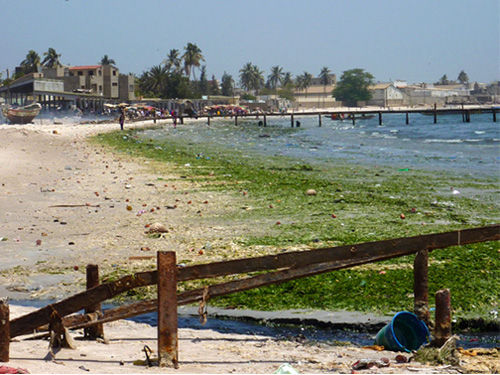 Dakar région verte, le journal du plan climat 4