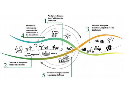 L’alimentation : un nouvel  enjeu de développement durable pour les territoires