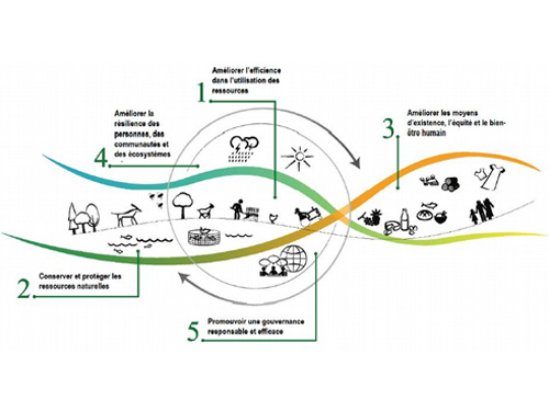 L’alimentation : un nouvel  enjeu de développement durable pour les territoires