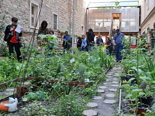 Les acteurs de l’ESS au service de la transition écologique porteurs d’innovation sociale