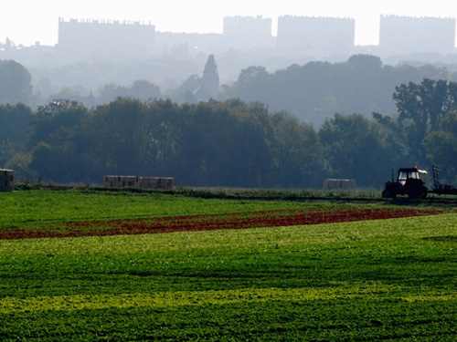 Les politiques de soutien à une agriculture durable de proximité