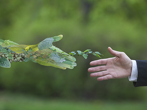 Les nudges verts : une théorie pour révolutionner nos comportements ?