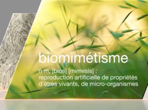 Ville biomimétique, Ville de demain