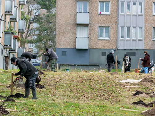 La renaturation des quartiers en politique de la ville, une dynamique à intensifier