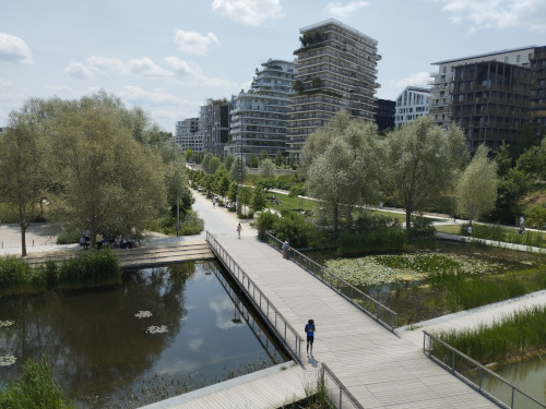 Déphaser la disponibilité de l’eau des précipitations en milieu urbain : une solution d’adaptation au changement climatique Déphaser la disponibilité de l’eau des précipitations en milieu urbain : une solution d’adaptation au changement climatique