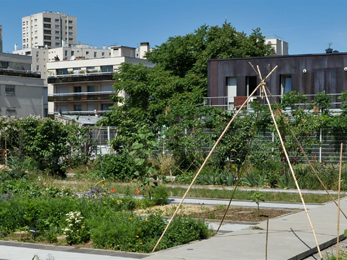 Vers des circuits courts alimentaires grâce à l'agriculture urbaine ?